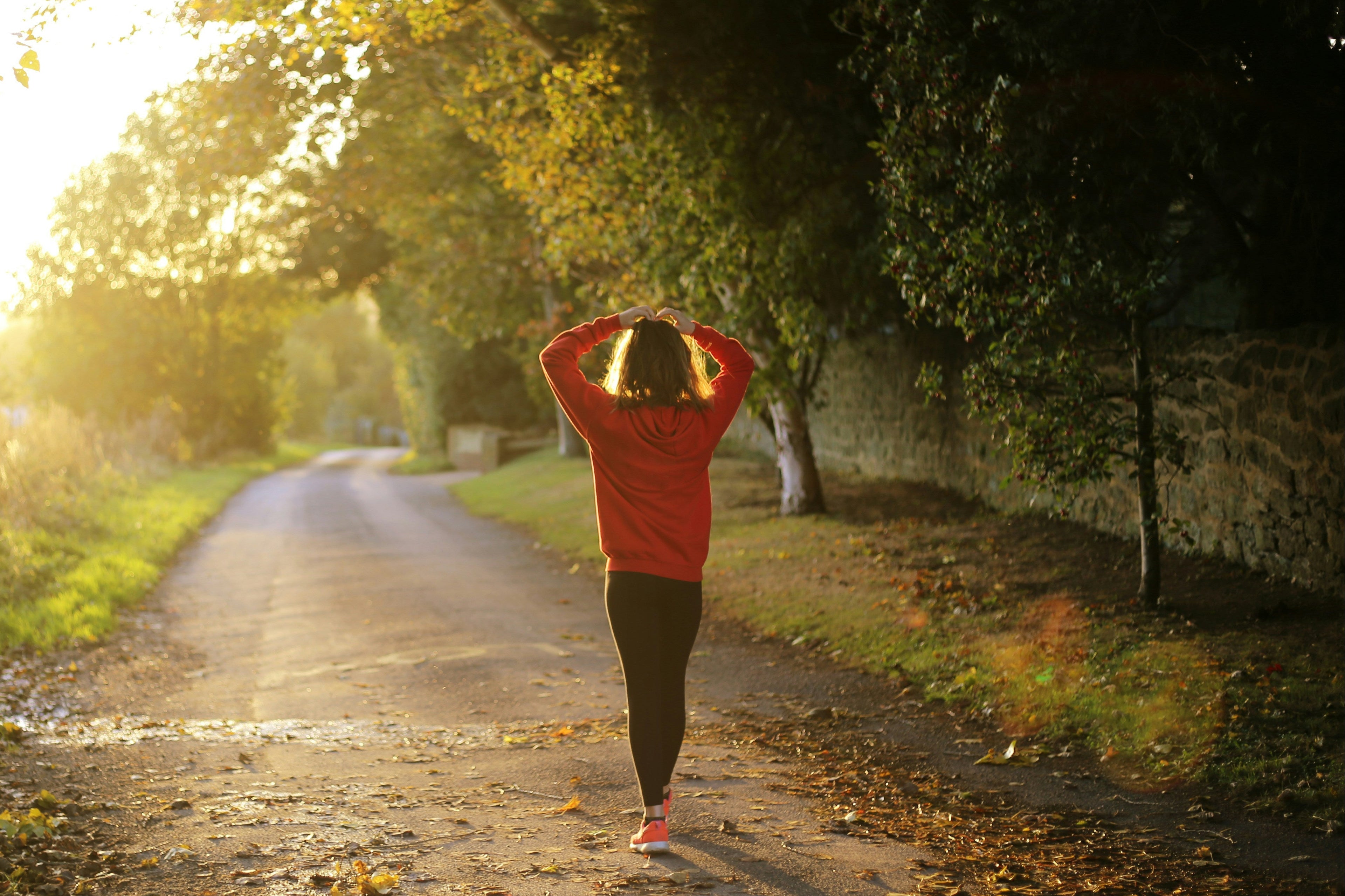 Person walking on a path with trees and sunlight